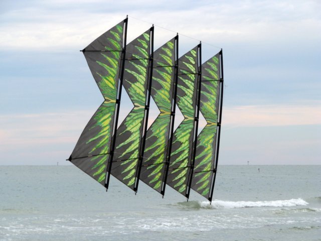 greenbirdwingrevs1.jpg
